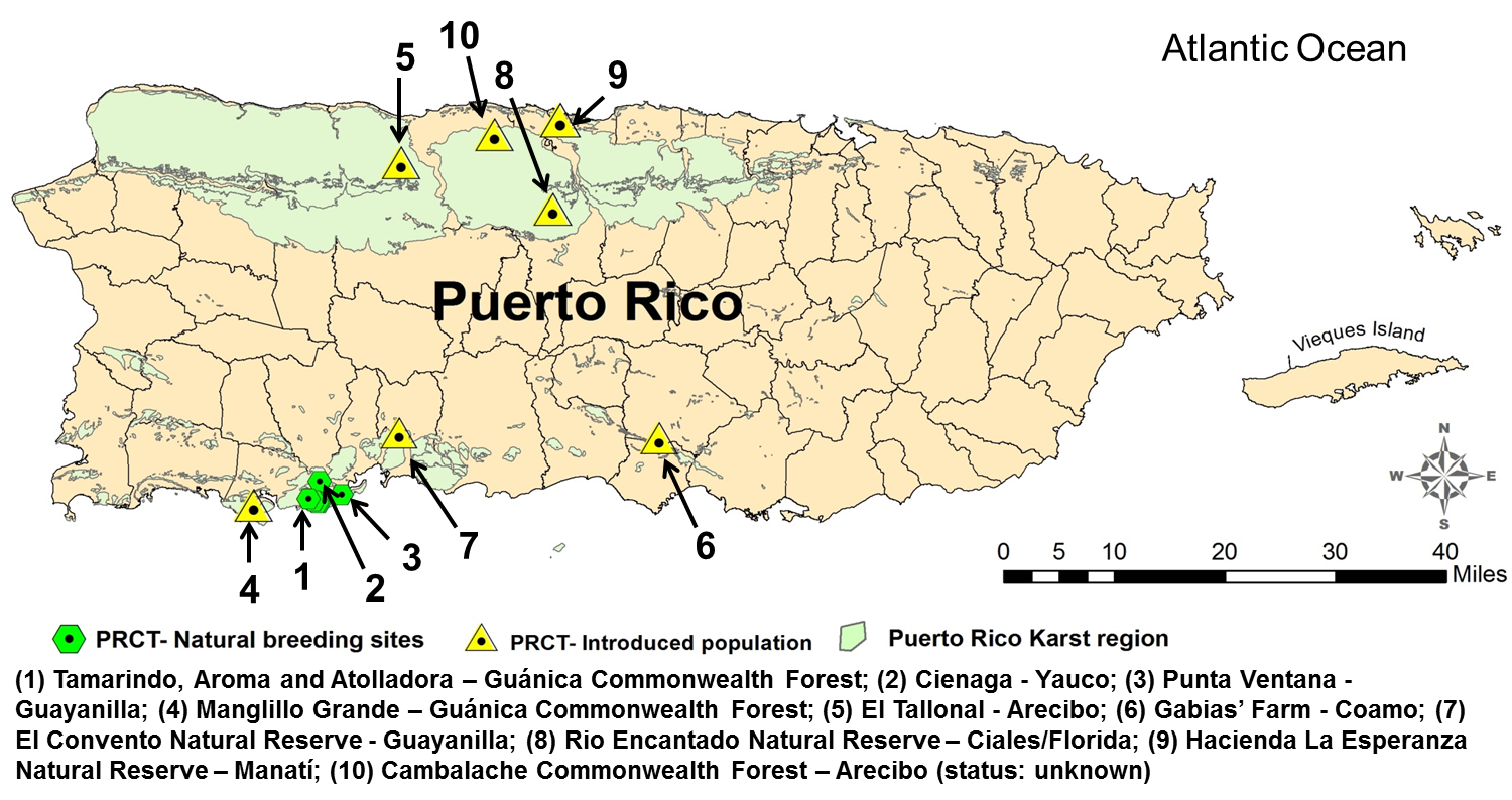 PRCT Map