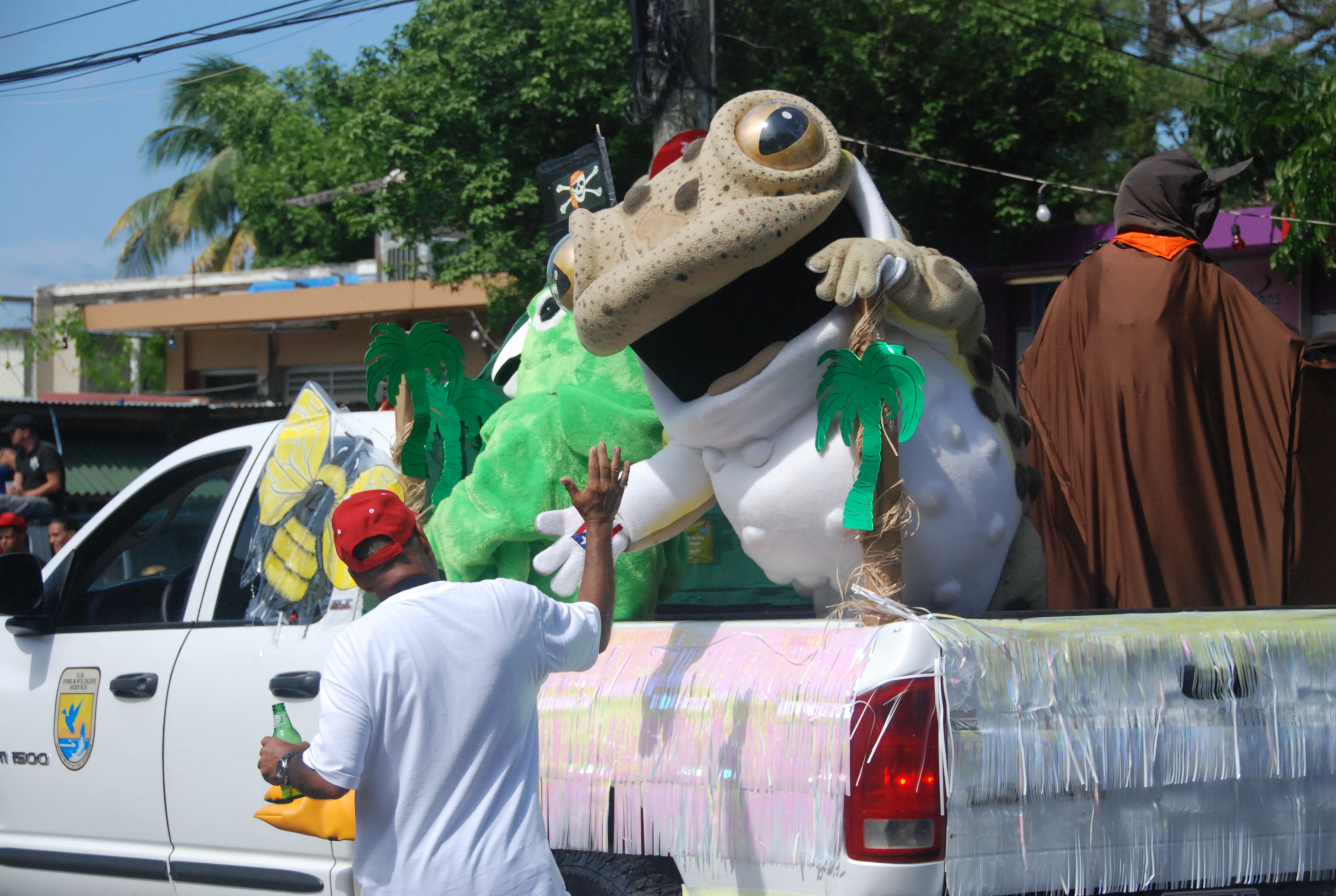 Toad 2 Vieques Island Carnival 2011